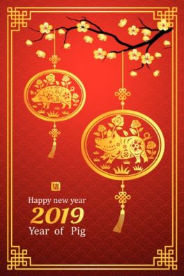 Chinese New Year 2019 Tall Banner